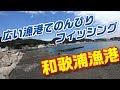 【釣り実況】和歌浦漁港の紹介　和歌山県の広々漁港