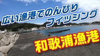 【釣り実況】和歌浦漁港の紹介　和歌山県の広々漁港