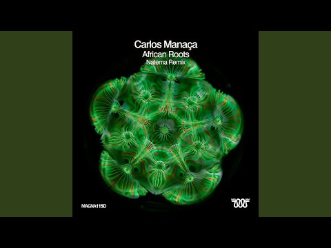 African Roots (Original Mix)