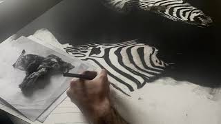 PENCIL DRAWING TIME LAPSE 