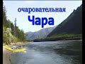 очаровательная Чара