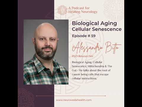 #59 Alessandro Bitto, PhD: Biological Aging, Cellular Senescence, Mitochondria & the Gut