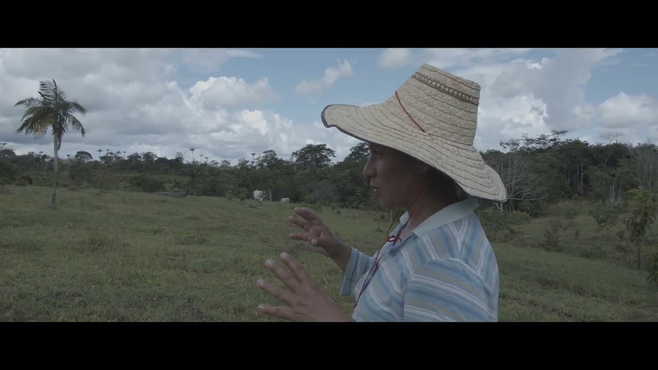 DEFENDIENDO EL BOSQUE - PARTE 8 (INFORME AUDIOVISUAL)