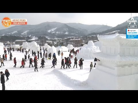 [네트워크 투데이] 강원 <strong>평창</strong> &amp;#39;<strong>송어</strong> <strong>축제</strong>&amp;amp;대관령 눈꽃 <strong>축제</strong>&amp;#39; | 행복한 아침 225 회