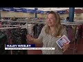 Aug. 17 is National Thrift Shop Day, CSRA Goodwill stores celebrate all week long