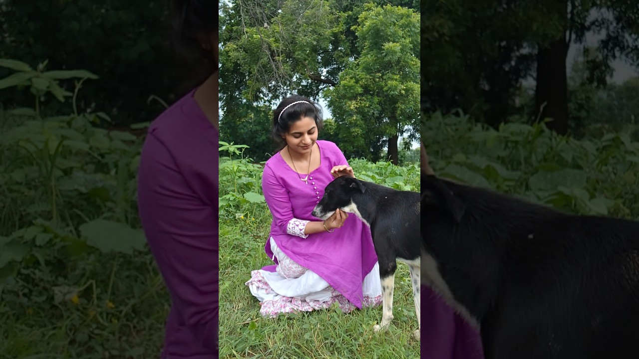 Less people, More Animals ❣️🐇🐵🐕🐘