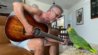 House Of The Rising Sun