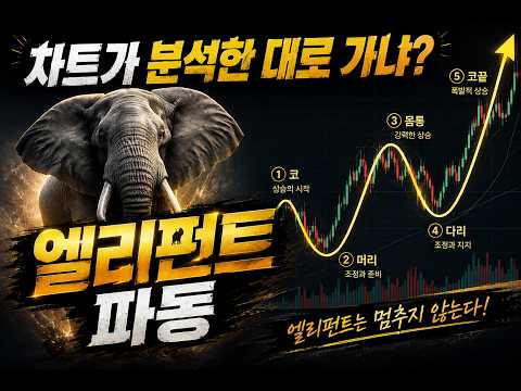 엘리어트파동 현실. 정답은 없다.  (비트코인 차트분석)