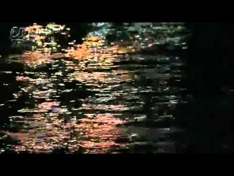 恋蛍/小林幸子/coverまさ/AMIさんの演奏