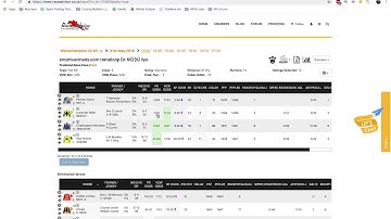 Race Advisor Pro The 3 Factor Betting Angle