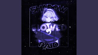 Shadow Raid slowed
