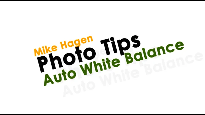 Nikon White Balance - Automatic