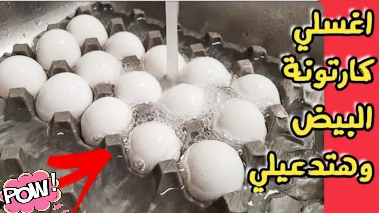 ضاع عمرنا واحنا بنرمي كرتونه البيض اغسلي الكرتونه ومش هتصدق النتيجه كنز لايعرفه كثير اختراع غير حيات