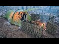 Winter Hot Tent Camping in Heavy Rain; Survival in the Wild. Caught in Rain. Bushcraft Skills