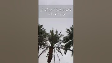 ناصر القطامي {وَاصْبِرْ نَفْسَكَ مَعَ الَّذِينَ يَدْعُونَ رَبَّهُم..}سورة الكهف