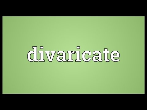 Divaricate Meaning