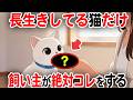 後悔しないで！猫が長生きするために飼い主がするべきこと【猫雑学】