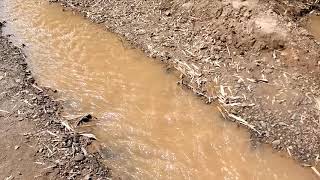 Processes of river transportation