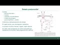 Bioquímica Clínica II 2026 - CT - Diabetes mellitus tipo 2