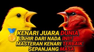 Download Lagu Kenari Juara Dunia Lahir dari Nada Ini β Masteran Kenari Terbaik Sepanjang Masa! #kenarigacor MP3 Download Lagu Kenari Juara Dunia Lahir dari Nada Ini β Masteran Kenari Terbaik Sepanjang Masa! #kenarigacor MP3