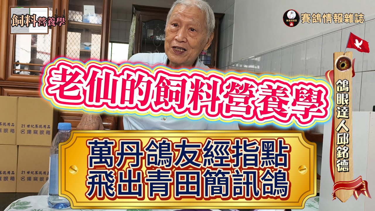 老仙的飼料營養學：細多的好，詹森兄弟也知道＆優質蛋白質來源探討，與簡訊鴿養成大法！？  #邱銘德 #強豪 #種鴿 #海翔 #pigeon #鴿子 #育種 #養鴿 #粉鳥 #銘鴿 #簡訊鴿