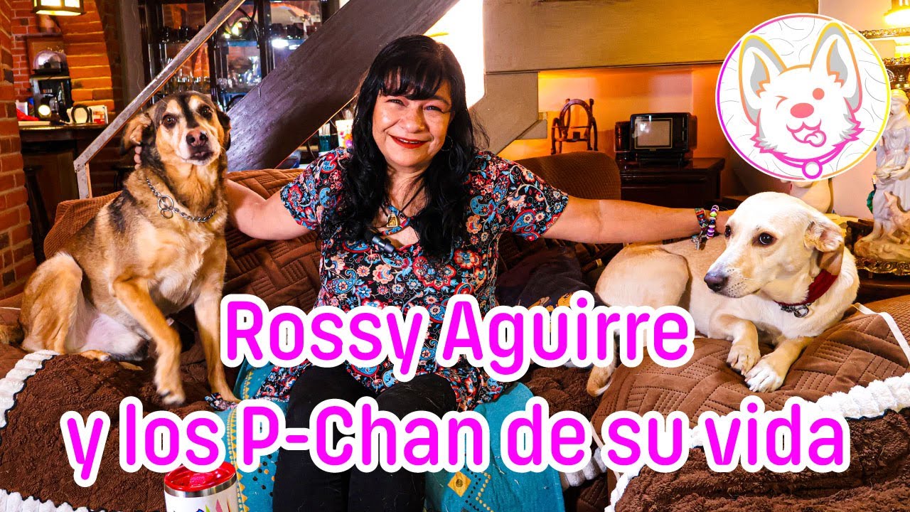 Mis perros se volvieron policías ft. Rossy Aguirre