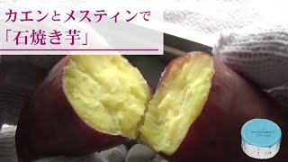 【メスティン】固形燃料とメスティンで「石焼き芋」