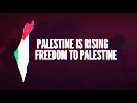 Palestine is rising! Freedom to Palestine!