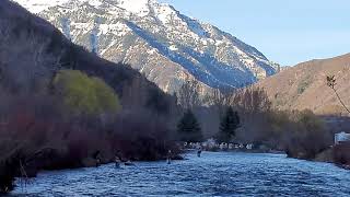 Upper Provo River. Heavier flow.
