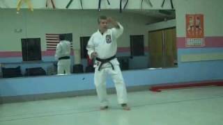 How to Learn the Isshinryu Fundamentals for Beginners 2015
