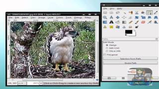 how to blur background gimp 11