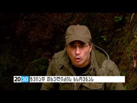 ზვიად თხელიძის ხსოვნას /2030 (01.06.2016.)/