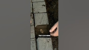 Preventing Edge Restraint Failure in Paver Installations: Essential Tips and Techniques