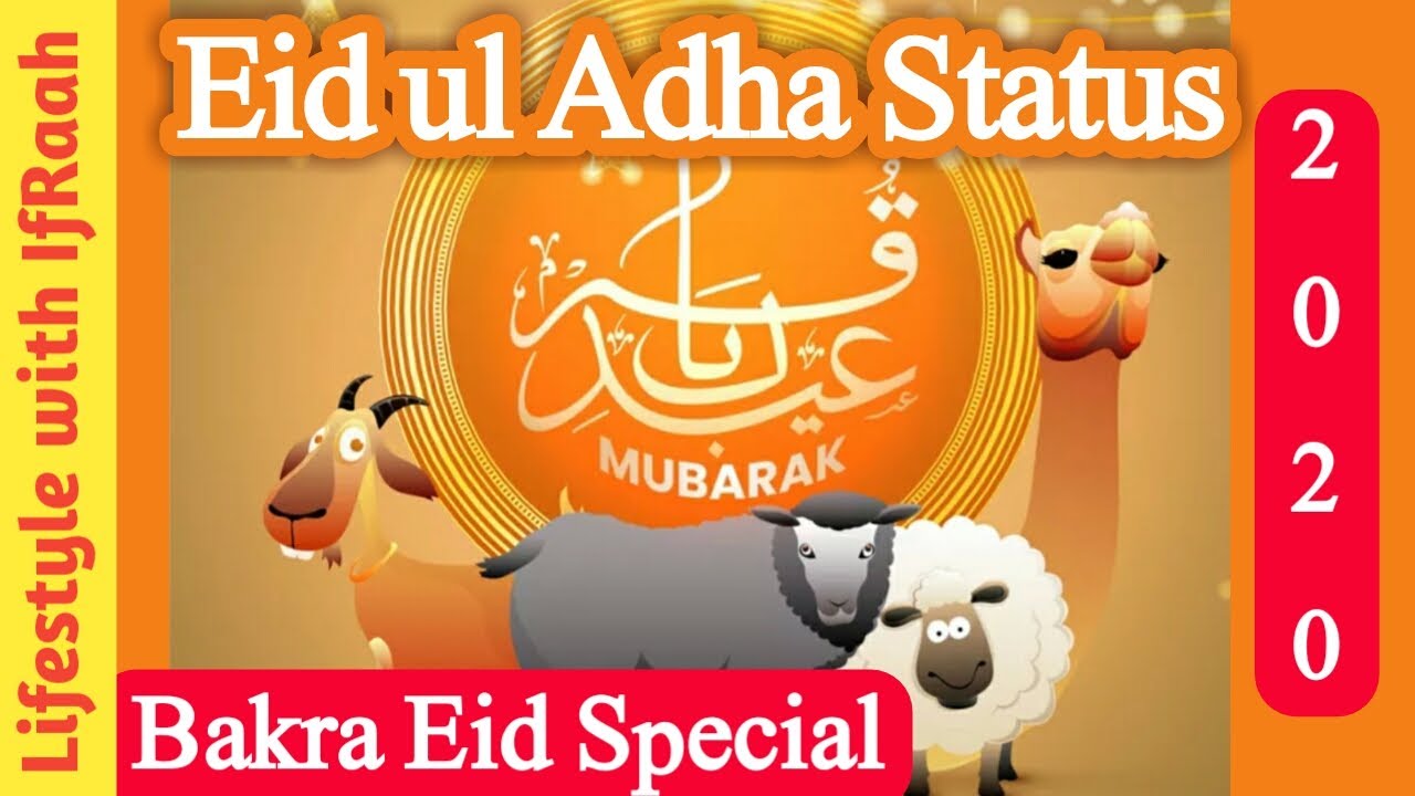 Eid ul Adha Status 2020||Bakra Eid special Status 2020||Eid ul Adha mubarak status|| Whatsapp Status