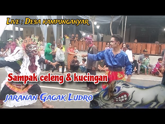 Sampak celeng u0026 kucingan !! jaranan Gagak Ludro Live Desa kampungnyar class=