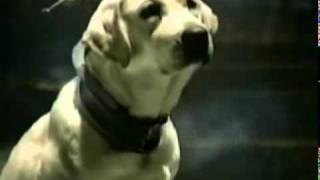 Budweiser Commercial   We are not Alone (Wassup Aliens)