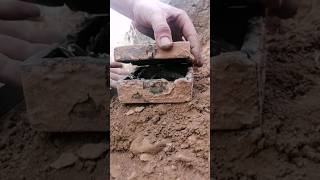 treasure hunter #gold #adventure treasure #metaldetector #found a treasure #chest of gold