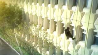 GIS/SIG tactical rappelling (CG)