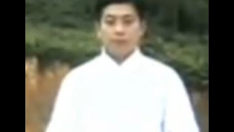 1. Yang Style Taiji/Taichi 85/108/long form tutorial by James Fu. Demonstration of the full form.