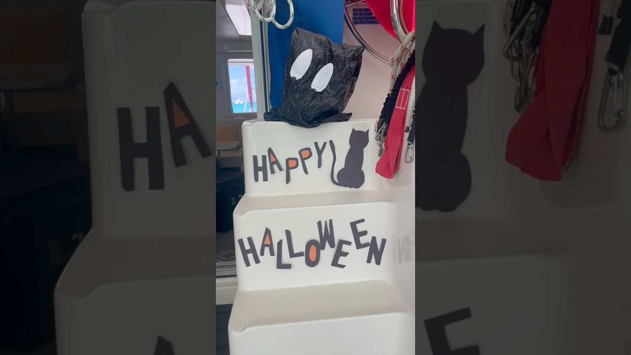 ⁣How cruisers have fun on Halloween! 🎃🎃