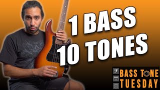 One Bass, Ten Different Tones | Bass Tone Tuesday