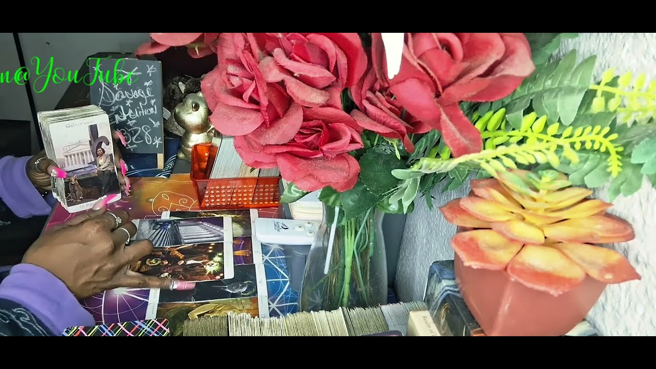 «Он постоянно говорит ей, чтобы она не вступала с тобой в конфликт! Она не готова к такому разгов...