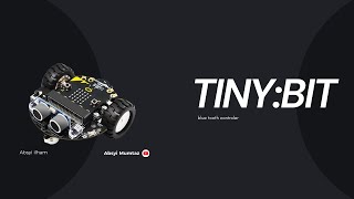 IT Project: TINYBIT
