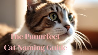 Cat Naming Guide: Choosing the Purrrrfect Name for Your Feline Friend!
