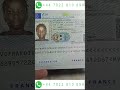 تاشيره فرنسيه مزوره   
