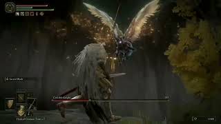 Crucible Knight is Insane