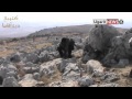 30 8 2012 أوغاريت كتيبة درع أفاميا الهجوم على حاجز ميدان الغزال 30 8 2012 أوغاريت كتيبة درع أفاميا الهجوم على حاجز ميدان الغزال