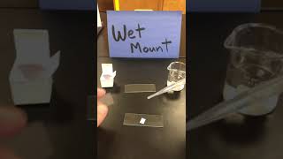 How to Make a Microscope Slide