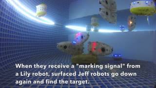 Tyoc Combined No2 All In One