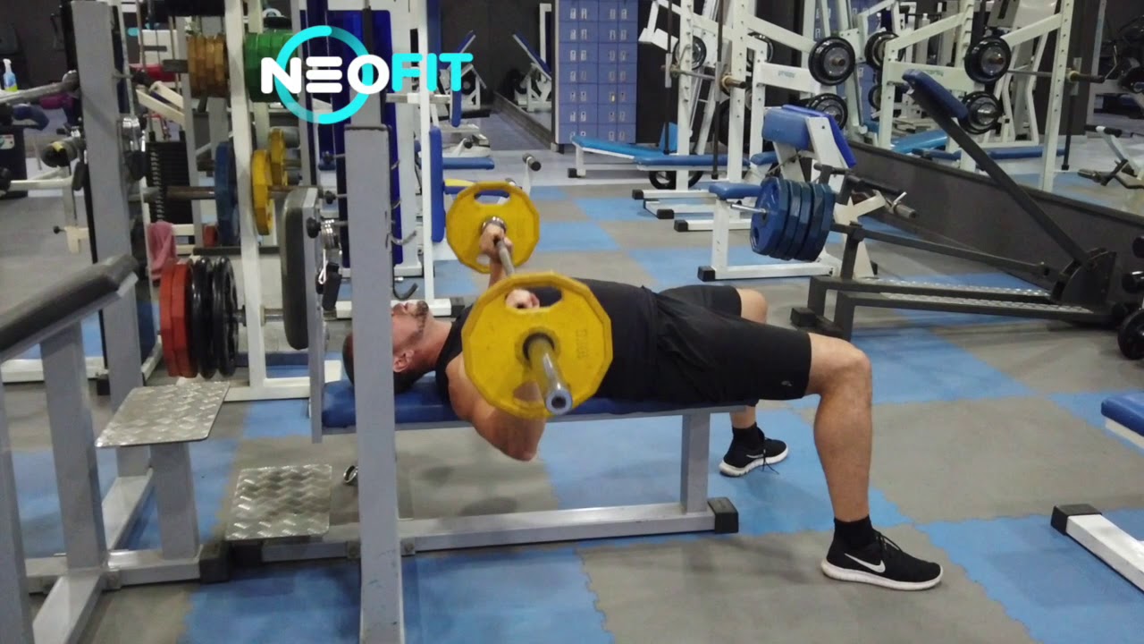 David Laid Bench Press Max